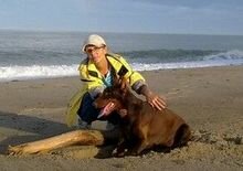 Елена Олейникова. Автор блога Рукодельницы в интернете