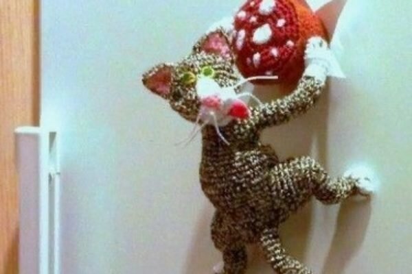 Второй кот