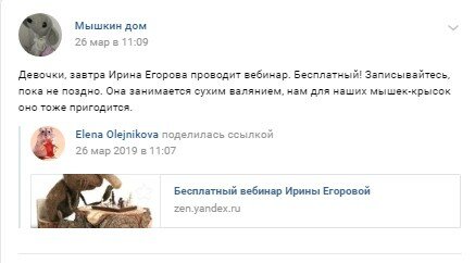 Мышкин дом
