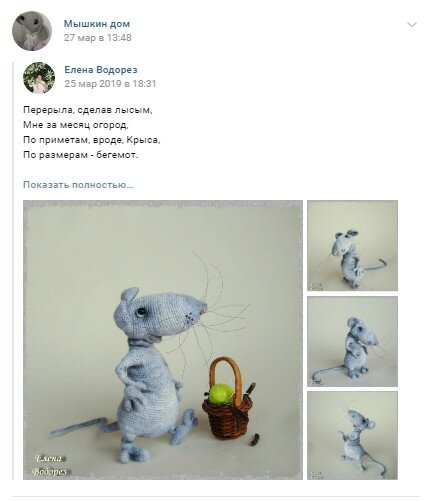 Мышкин дом